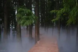 东湖落雁景区，温柔“小江南”，13元门票教你玩转网红打卡点图片