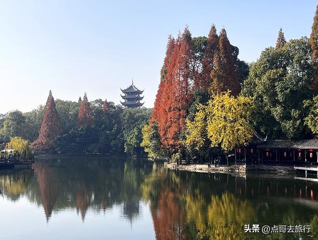 成都被私藏的彩林公园，流金溢彩，充满老城烟火气，地铁公交直达