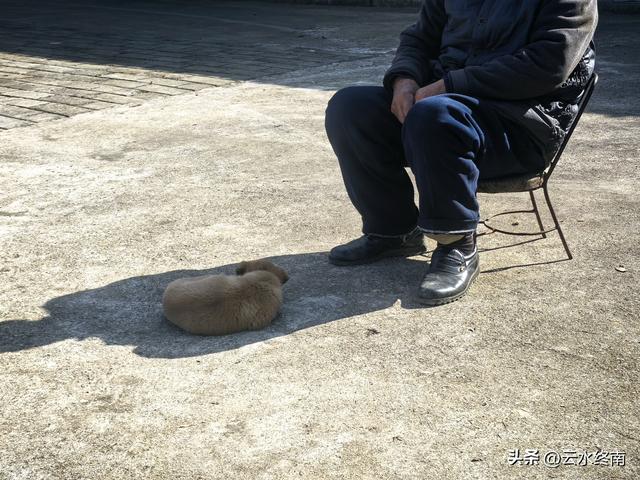 开车到蓝田这个岭上看柿子、观山景、晒暖暖，就是初冬最幸福的事