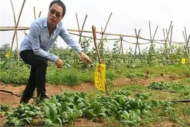 中美农场主的收入差距很大吗？美国农场主都是怎么赚钱的？图片