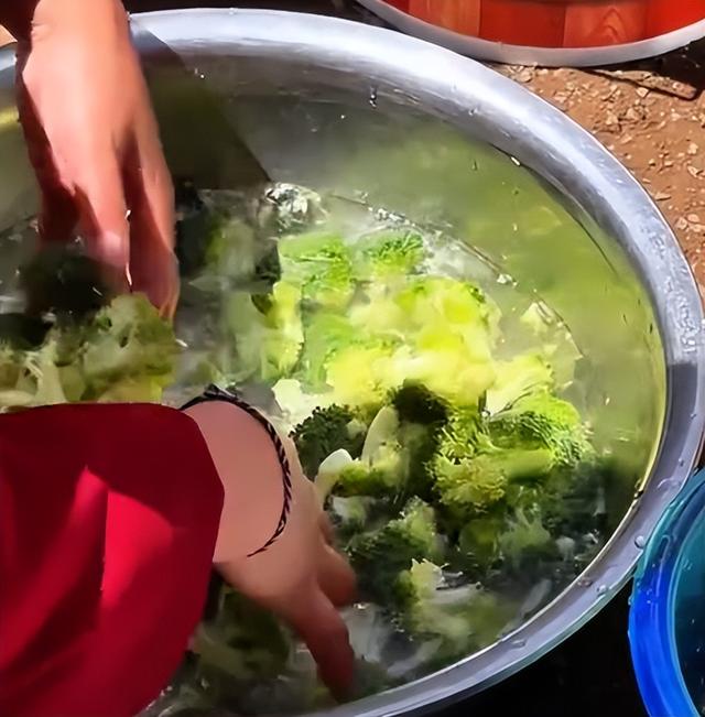 男子西藏遇到尼姑，住在4500米高的地方，吃肉修行，一闭关七八年