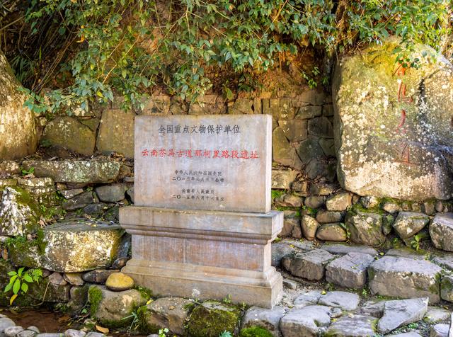 普洱游之那柯里