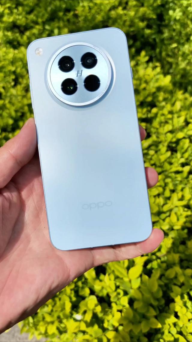 “跌穿地板”的实力派！这4款手机堪称双十一捡漏王