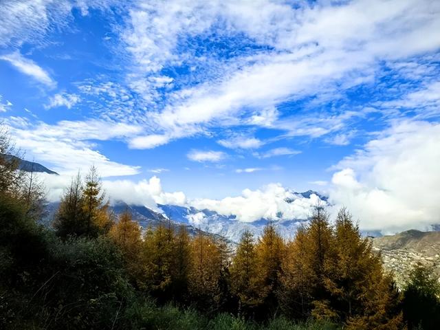 【行业动态】陇南秘境：秋末冬初的山水诗行