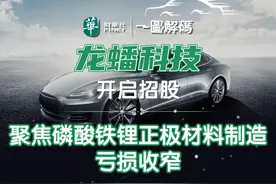 一图解码：龙蟠科技开启招股 聚焦磷酸铁锂正极材料制造 亏损收窄图片