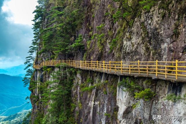 江西文旅为什么不宣传明月山？藏有世界罕见温泉，还有千年古银杏
