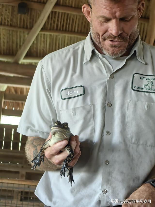 大沼泽地美国国家公园（迈阿密游记三）