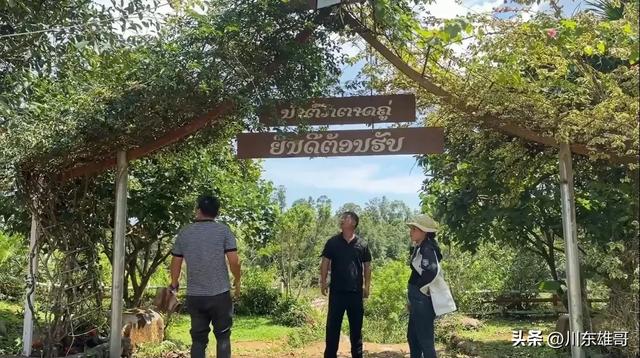 小依的咖啡园，即将迎来翻天覆地的变化。