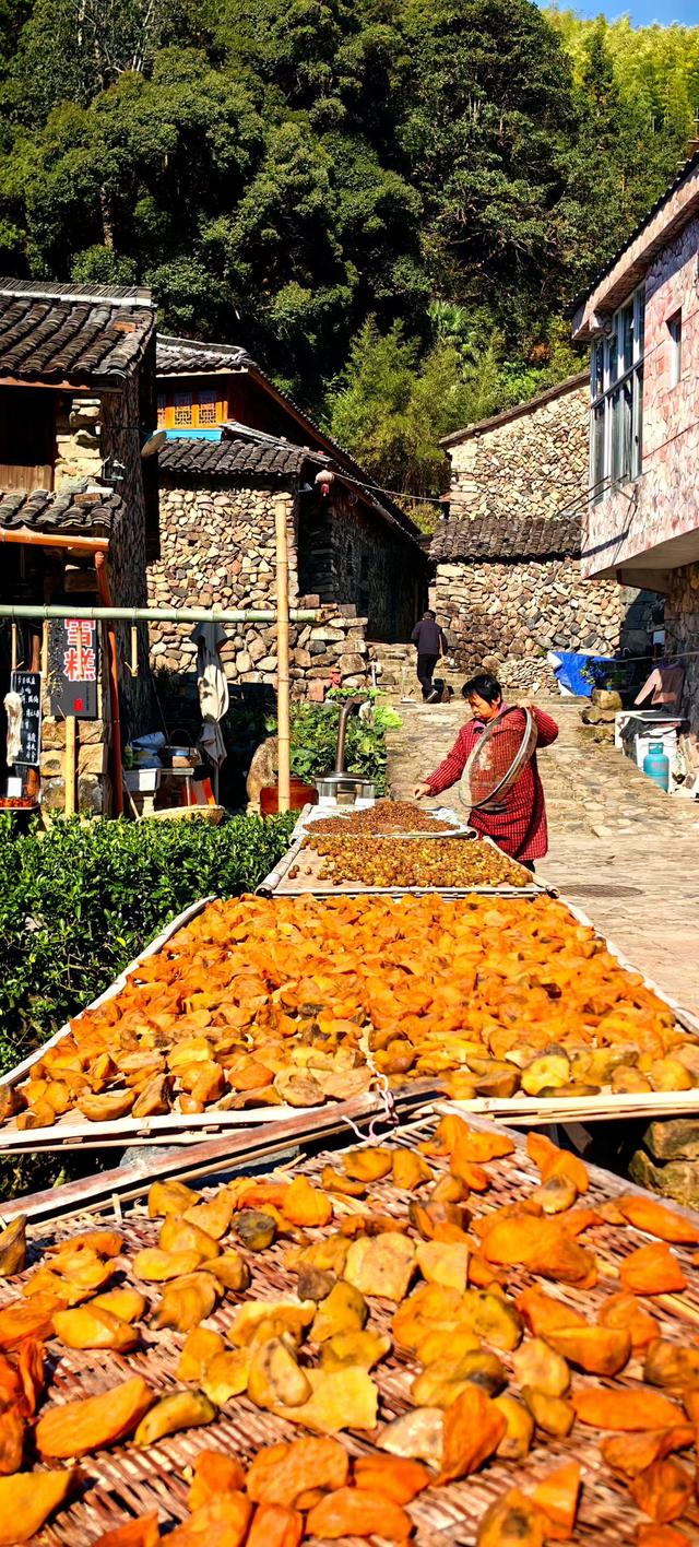 浙东行吟：桃源仙境采风牌 岩下石头村完美