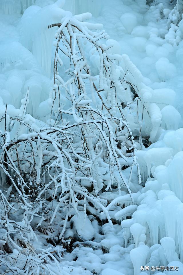 虎峪冰瀑：山谷里的冬日秘境、现实版的冰雪奇缘