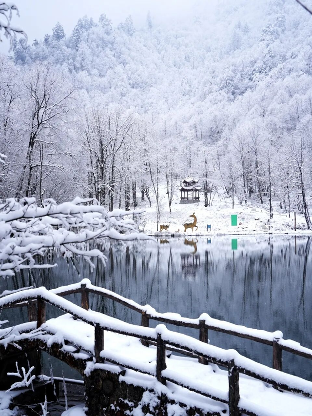 【雪景预告】看雪不必出远门！雅安的冬天超超超美！