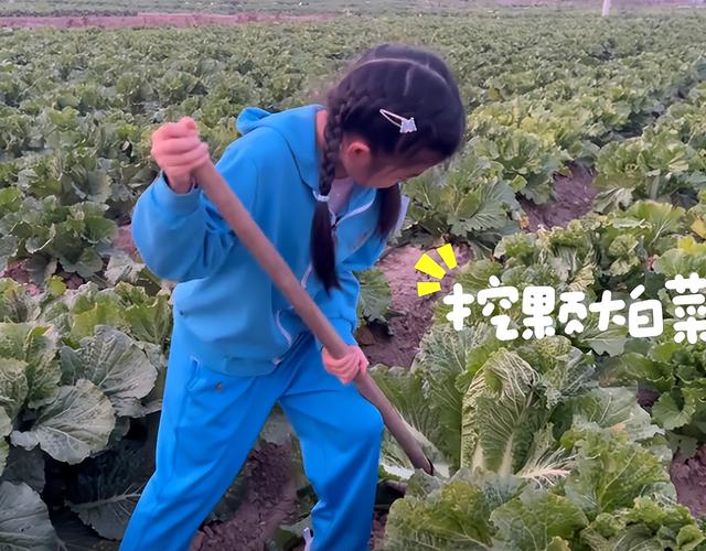 汪峰不装了！森林北生病，他却带着女儿地里挖白菜，章子怡躺赢了