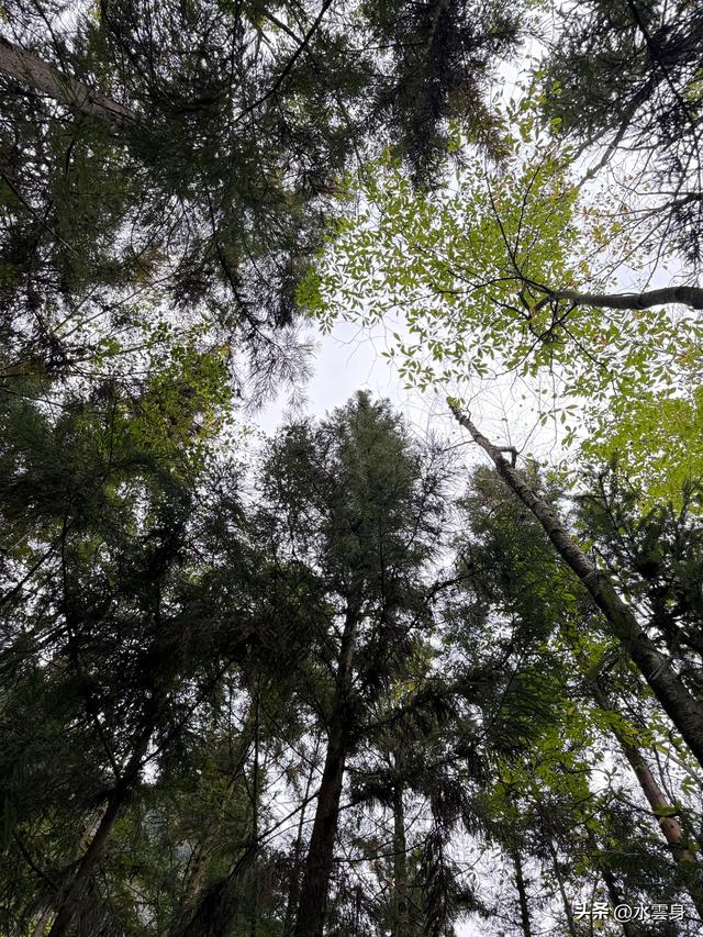 北京自驾长江三峡、神农架之旅（6）