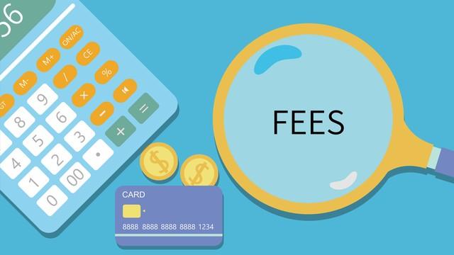 从域名到服务器：网站建设费用明细全解析