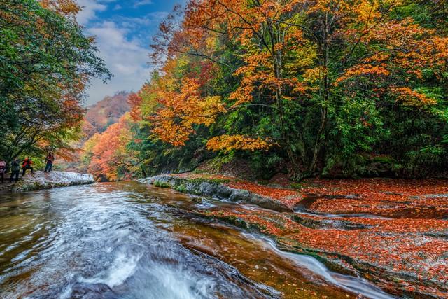 四川真糊涂！这十景点在马克龙访川前，法国人早爱上了她快宣传！