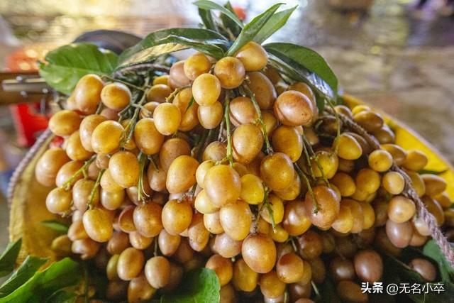 广西的朋友你们就偷着乐吧！很多外地人都羡慕广西这里，没想到吧