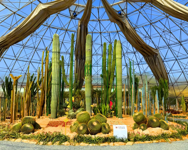 临沂，你真的好风光！！