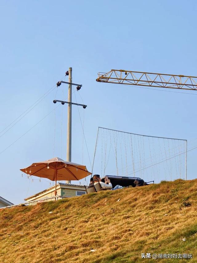 公交直达冬日限定“小东非”，带娃解锁长沙safari隐藏玩法！