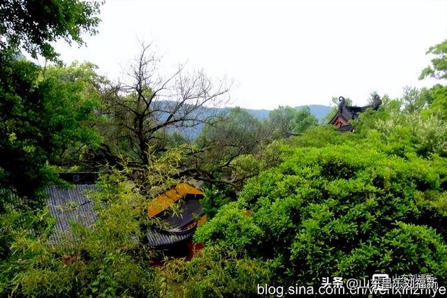 杭州324路公交车沿途风光（皖浙沪旅游122）