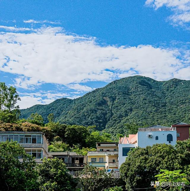 让全世界的风吹向你，来深圳坪山自然有答案~ | 美美Holiday⑦
