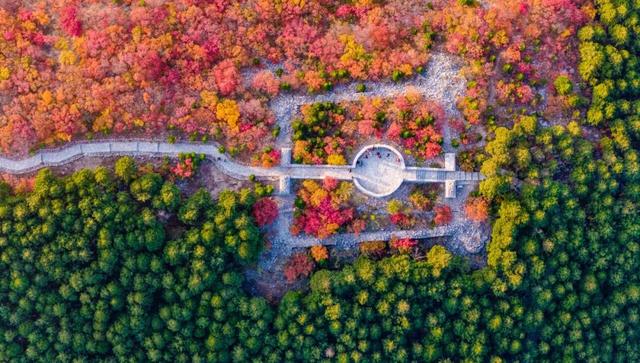 新华社聚焦+国家地理推荐！济南蝎子山“鸳鸯锅”秋景太惊艳了！