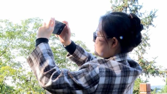 秀岭春天：红韵漫山隅杉林醉客入画来