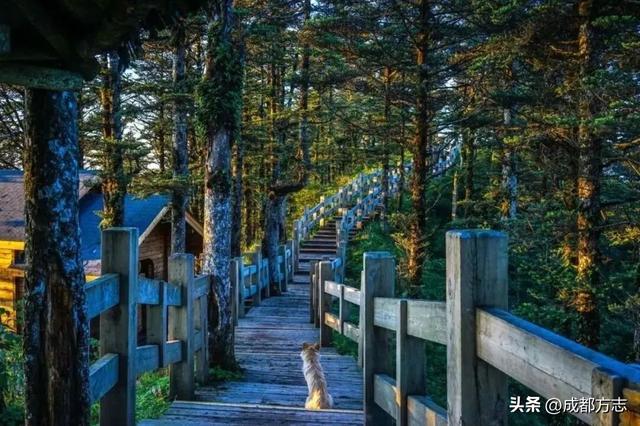 首个秋假怎么耍？这些地方必打卡→