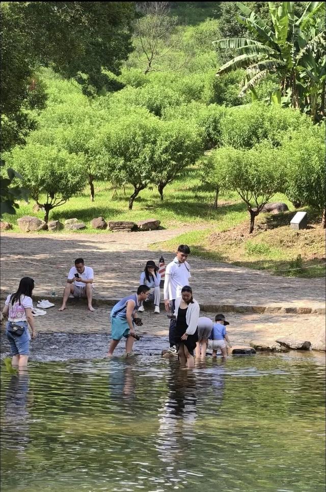 收好这份溯溪地图，来从化赴一场超治愈的山野 SPA！
