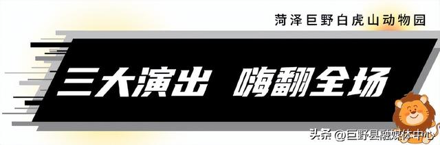 定了！国庆开园！门票免费送！菏泽白虎山动物园10月1日强势回归！