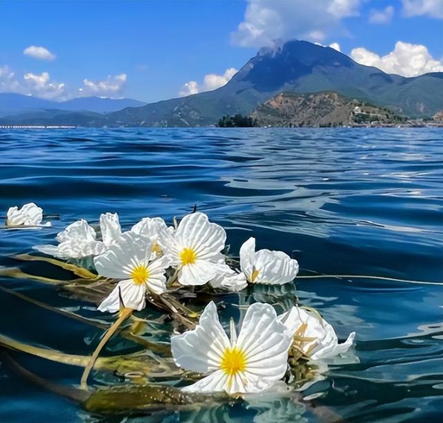 云南文旅又白干！女子住酒店被员工猥亵，网友曝猛料，不是第一次