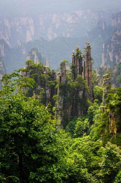 张家界荒野求生挑战赛进入第30天，赛事方：百人参赛仅剩17名