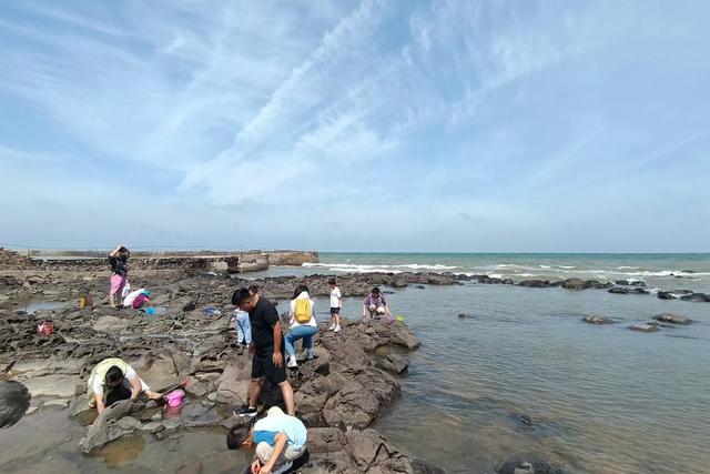 去烟台龙口旅游,海菜包4元一个,凉拌海菜20元一盘,你看值吗?