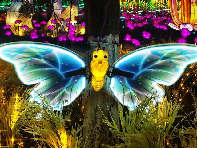 桂林：首届非遗千灯游园，光影艺术璀璨盛宴！