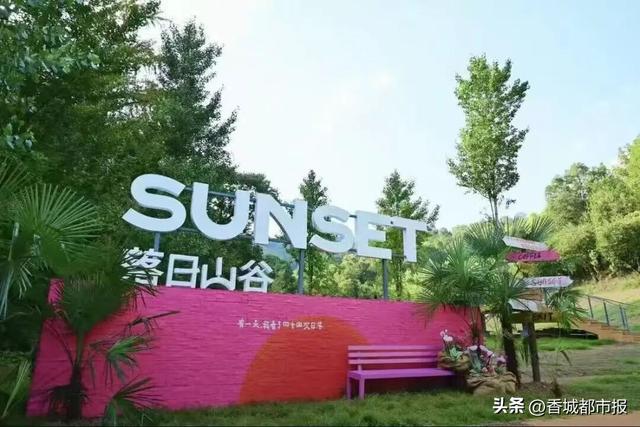 文旅融合绽新颜 | 千年银杏谷激活旅游发展新动能