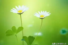 中年之后，不再热情，变得沉默寡言，说明了这些问题图片