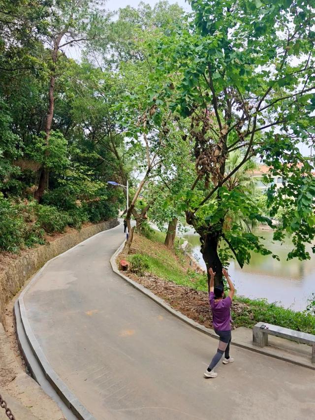 遛娃宝藏地+1！家门口的公园正焕新升级！