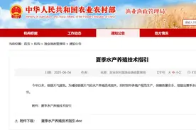 夏季水产养殖技术指引图片