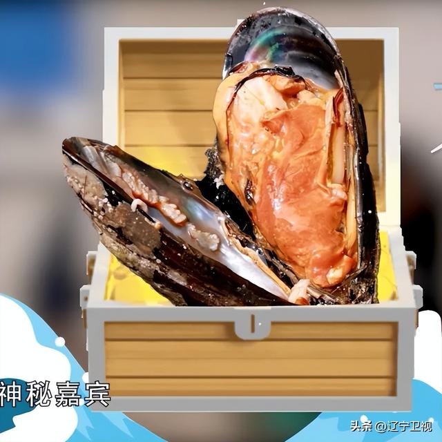 这里人均“海鲜自由”，就在辽宁这个北纬39度的海岛