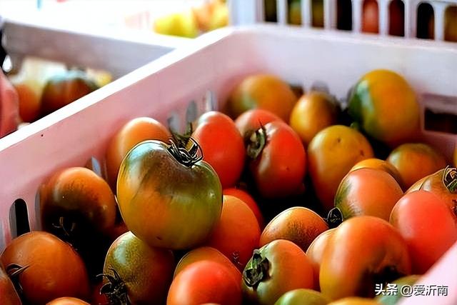 大暑来了，老菜农提醒：这5种菜贵贱都不要吃，很多人经常买