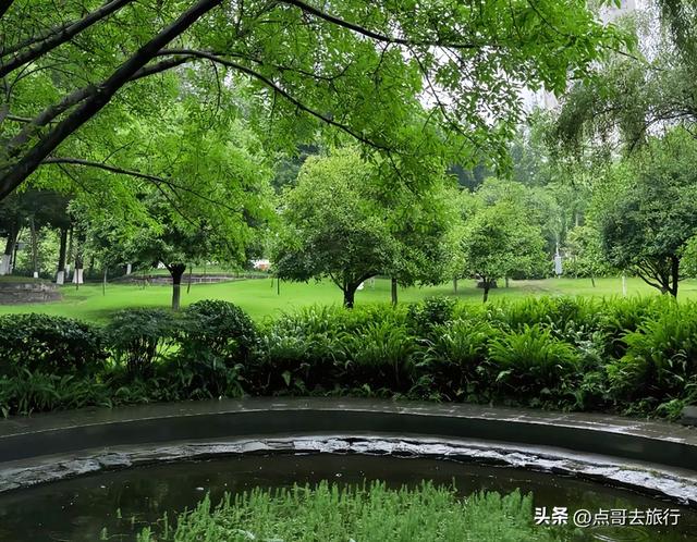 成都市内乘凉公园，风景秀美、清凉，不要门票，地铁公交可达！