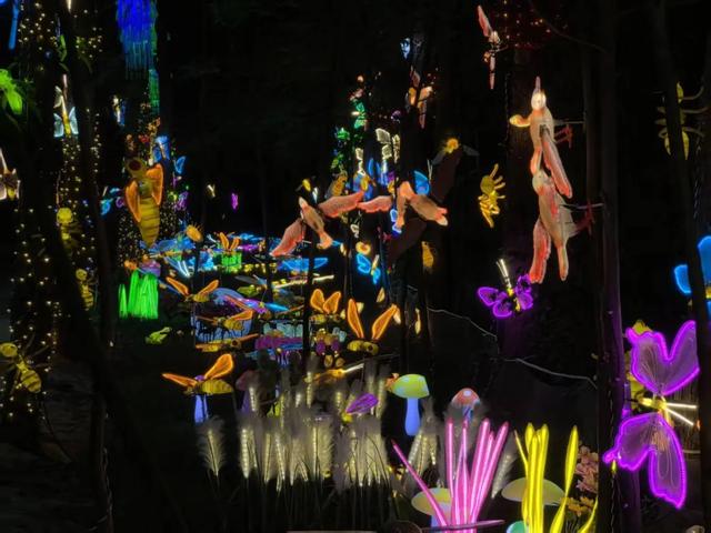 秋日来龙沙湾怎么玩?这份游玩攻略请收好