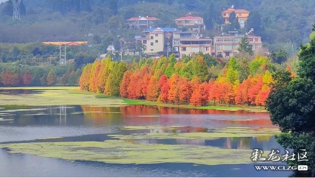 山水入画秋意来