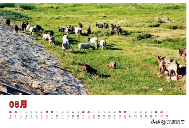 泰安文旅版日历上新~四季美景全收藏，是礼物，更是请柬→