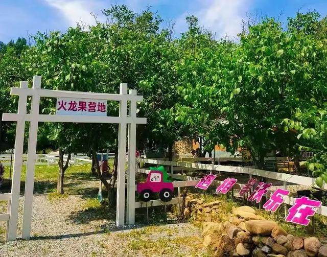 济南1h直达！西营周末新玩法：山野咖啡×秘境茶香，秒变文艺片主角！