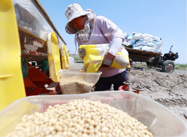 宁愿赔钱也要把粮食卖中国！美国的粮食垄断梦，如何被中国瓦解？