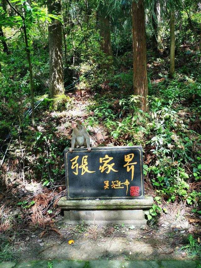 坚决不和别人一起自驾。包括同路。即使各家开各家的车。