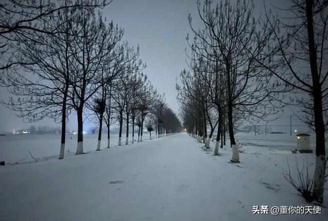 零下15度！河南四九天迎来寒冷暴击，真的要“猫冬”了？