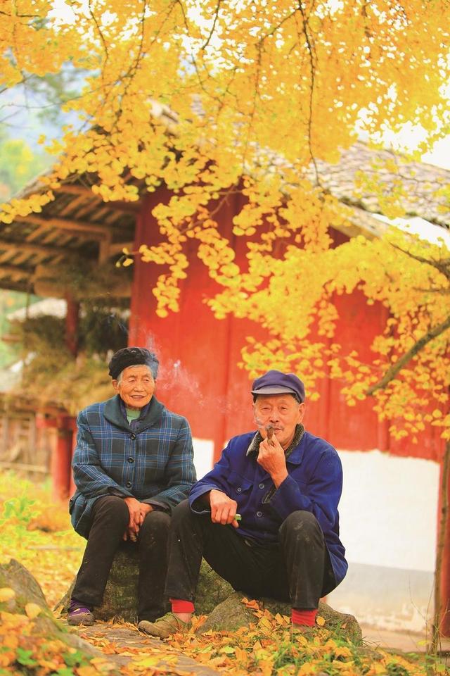 为有秋色赋人间