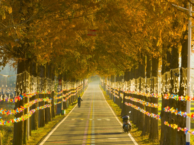 心形公路串起诗画柳林