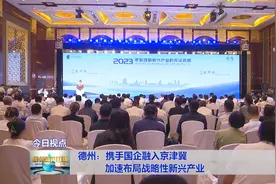 德州：携手国企融入京津冀 加速布局战略性新兴产业图片
